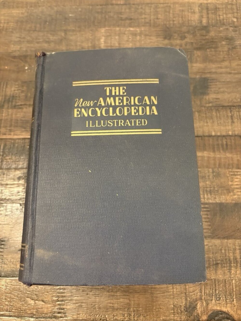 Vintage The New American Encyclopedia Illustrated Blue Hardcover Books Inc NY
